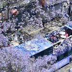 vol.12 五一去哪儿？绝美蓝花楹+宝藏苍蝇馆，昆明才不是旅游中转站！