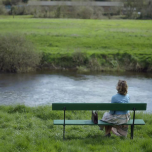 [叶沙信箱]赶在元旦之前