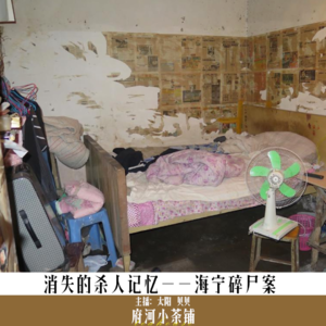 消失的杀人记忆——海宁碎尸案