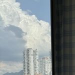 休息日~久违地看一天小说 📅 26.Jul.4