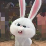 小白龙在读书