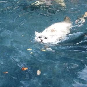 就能长少年