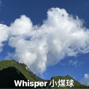 Whisper小煤球