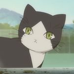 海豚与小径分叉的花园