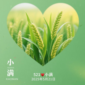 Vol.15 长夏渐盛|幸福初盈 小满节气X521提升爱的能力！