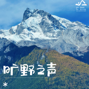 旷野之声