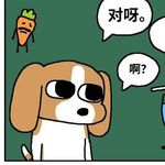 用户名待更新