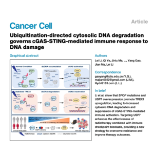 413-DNA Degradation by Ubiquitination Regulates cGAS–STING