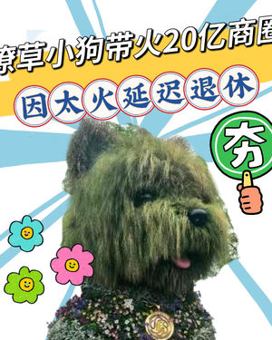 一只潦草小狗带火20亿商圈!像被风吹过的拖把,也像余华老师,因为太火“延迟退休”