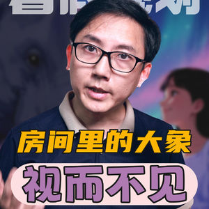 暑假规划，房间里的大象，却视而不见