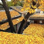 润物草堂