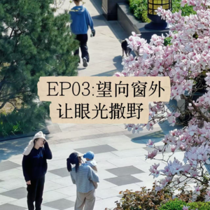EP03：望向窗外，让眼光撒野