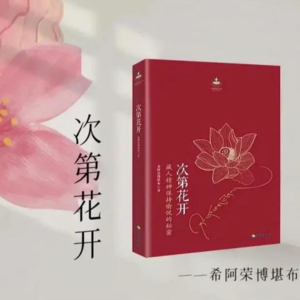 005.《次第花开》临终病人最大的遗憾:活得太紧张,忘了看花开。