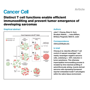 198-T Cell Immunoediting Prevents Sarcoma Tumor Emergence