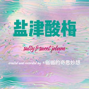 盐津酸梅