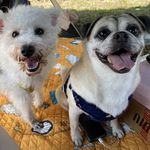 Angus的星球宇航员