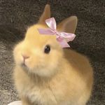 睡觉早点_
