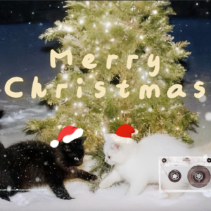 𝐏𝐥𝐚𝐲𝐥𝐢𝐬𝐭 º 圣诞歌单❄️嘿!小猫咪给十二月系上一个圣诞结🪄🎄温暖 氛围 节日 治愈