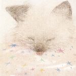 睡个好觉吹吹风