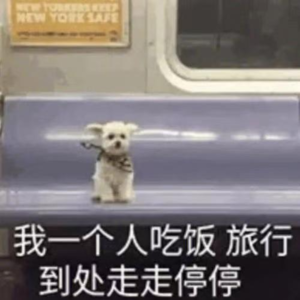 女生独自旅行，实在是太爽啦！