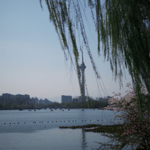 Vol.17 聊聊焦虑|按下暂停键后,我们如何接住自己