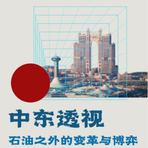 Vol.4 特朗普的中东"土豪交友会"：沙特和阿联酋的转型之路