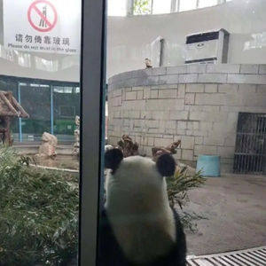 下课去哪玩