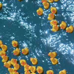 17-发热门诊漂流记