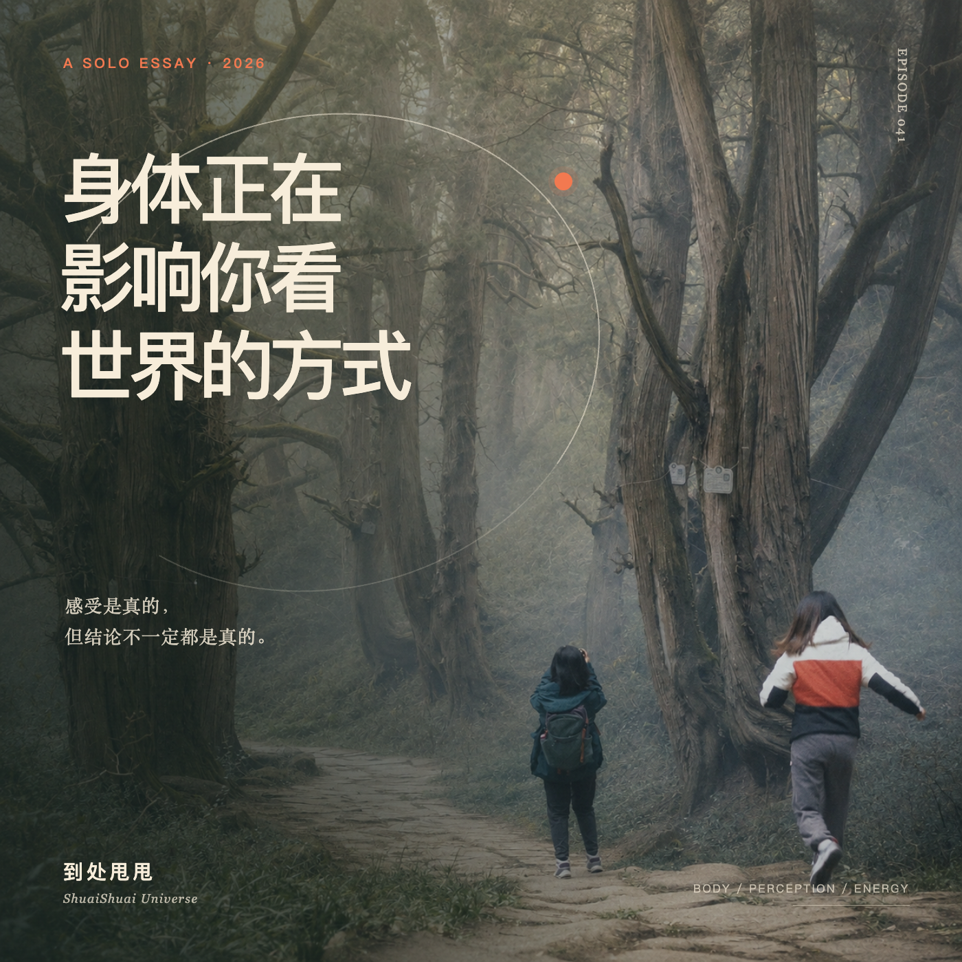 041. 身体正在影响你看世界的方式 episode artwork