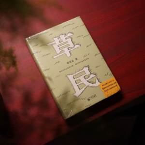 命运就是我们跑出来的路——蔡崇达《草民》