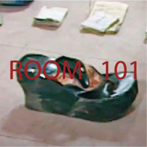 EP 05. 人字拖晒痕:台中槟榔西施焚尸案