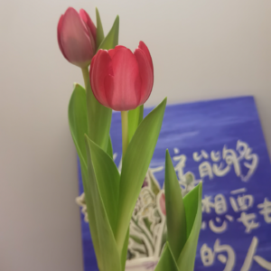 96期：30而立立不住是正常的，别担心。