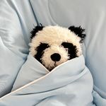 命运总是宠爱勇士