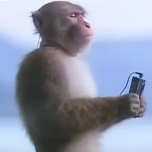 EP9 【歌单企划02】|你们不要再吵了，说好的音乐共和呢？