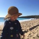 少年书社的梅子