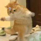 快别睡啦
