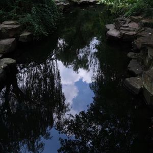 podcaster-avatar