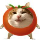 Tomato_Iton