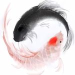天上四小甲