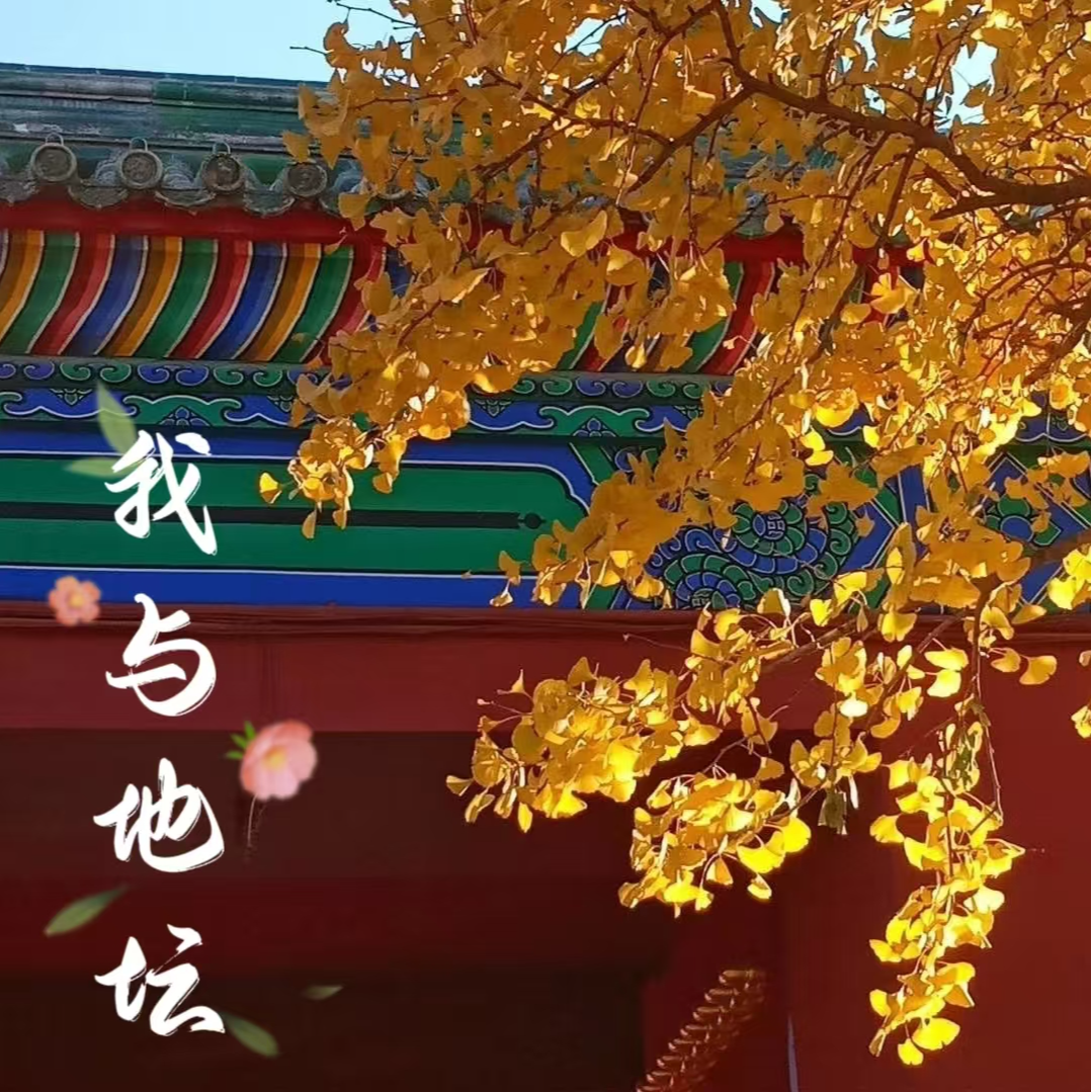 024-读书|我已不在地坛，地坛在我 episode artwork