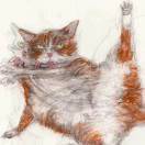 瓜瓜酱带着草莓酱