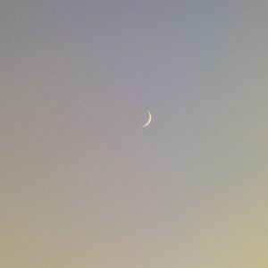 叛逆小凌野蛮生长