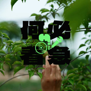 No.25 【夏日歌单】今年夏天来得太猛？那听这些歌解暑吧！