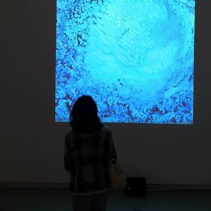 #2 花花：从欧莱雅到互联网 · 从艺术到商科