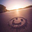 莎莎籽支棱起来