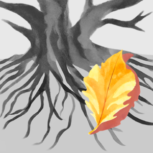 EP8 不愿意说话的人，享有缄默的绝对自由——西西手卷