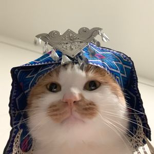 Yeeko