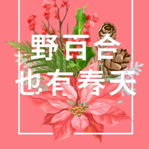 野百合也有春天--罗大佑《野百合也有春天》--每周一歌 赵星帆