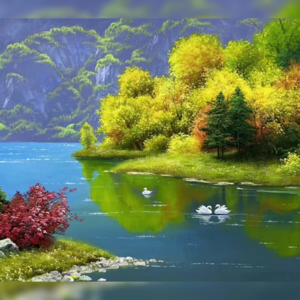 心雨（Heart Rain）