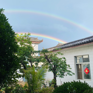 Vol.14 百试百灵的召唤晴天歌单 ☀️ 雨季不用愁，晴女来帮忙！